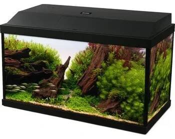 Akvárium INVITAL LED akvarijní set 25 litrů s vnitřním filtrem a topítkem