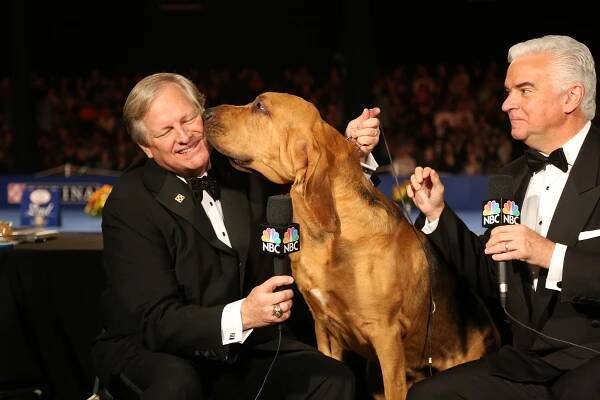 Hosts David Frei (left) and John O’Hurley with 2014 Best in Show winner Nathan the bloodhound.