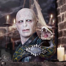 Busta Lord Voldemort