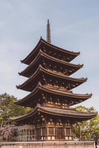things to do in nara japan