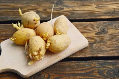 Jak skladovat brambory, aby neklíčily