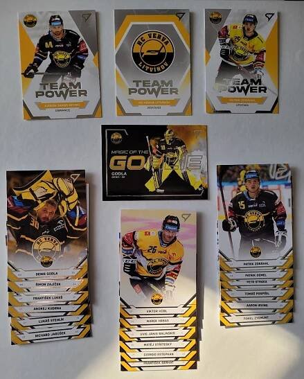 HC LITVÍNOV  SPORT ZOO (komplet base lot vč insertu) - Hokejové karty
