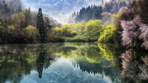 jaro, Japonsko, krásně, rybník, hory