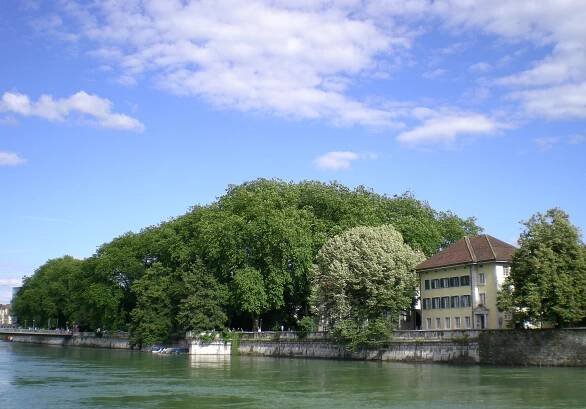Rollhafen, Zivilstandamt