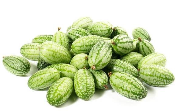 mexican sour gherkin on white background - melothria scabra - stock snímky, obrázky a fotky