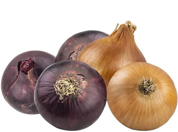 ONION