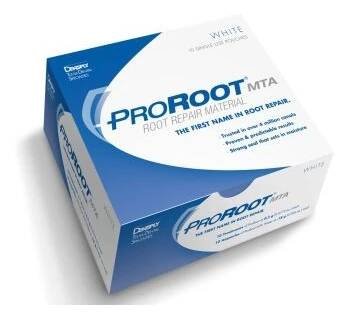 Pro Root MTA