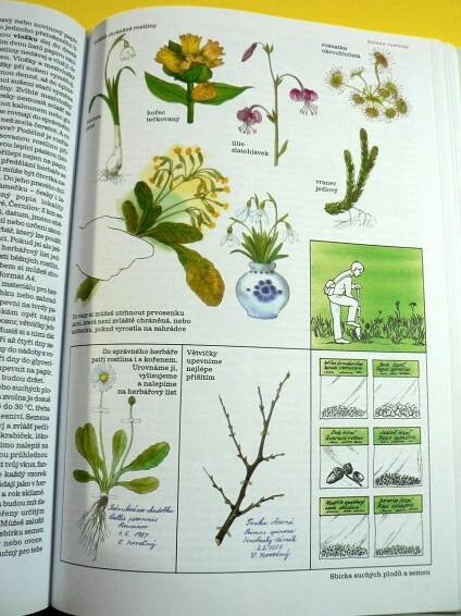Malá tajemství přírody Chov mravenců žížal Ptáci Hmyz Rostliny (2001) | Aukro
