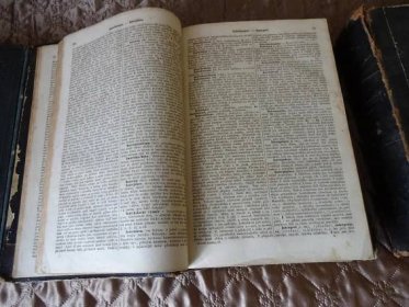 Riegrův slovník naučný - Starožitnosti a umění