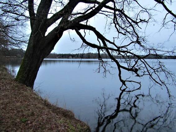 Místo zločinu České Budějovice se přesune k Třeboni. Mrtvého najdou na hrázi