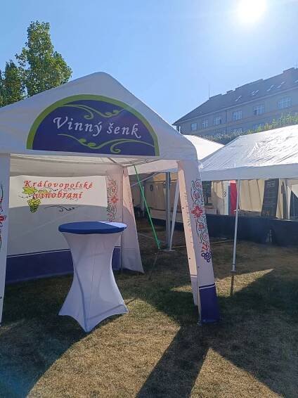 Česnekovky na zámku v Rosicích, Královopolské vinobraní, Rodinné centrum Žirafa – Krajánek Rádia BLANÍK