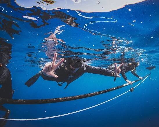 THE 5 BEST Things to Do in Honaunau (2025) - Must-See Attractions