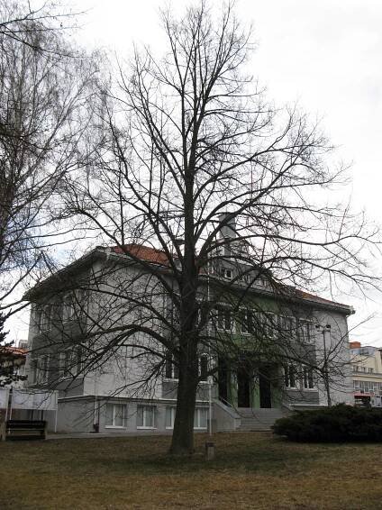 Lípa republiky v Horní Bříze - Lípy republiky 1918 – 2021