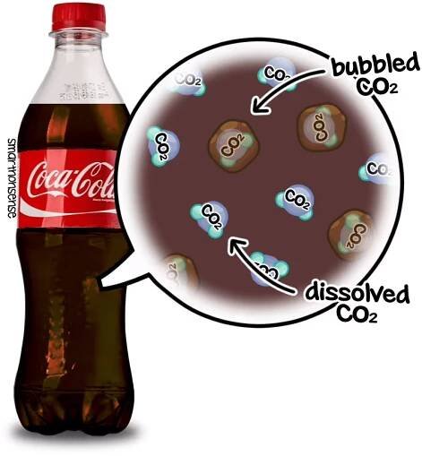 Why Does Soda Explode When You Shake It?🥤