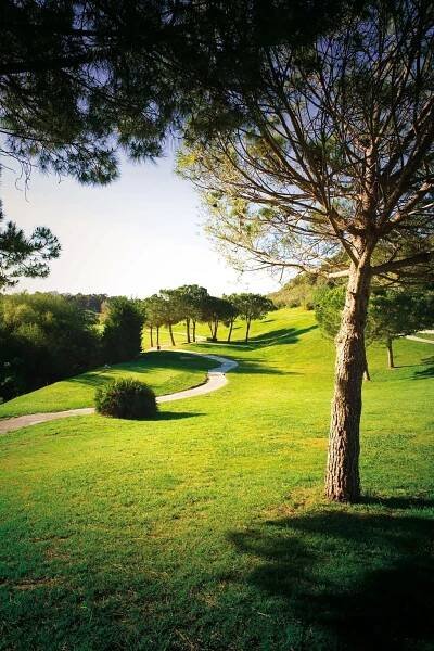 Gallery - Atalaya Golf & Country Club