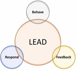 Behave-Respond-Feedback-Lead! - CEC Strategies