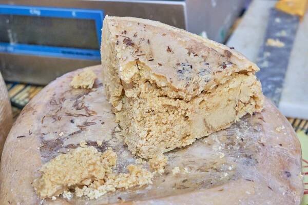 Casu Marzu, the Illicit Cheese of Sardinia | The Cheese Professor