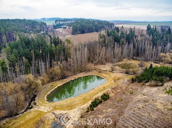 Prodej Pozemek, Mladoňovice, okres Třebíč
