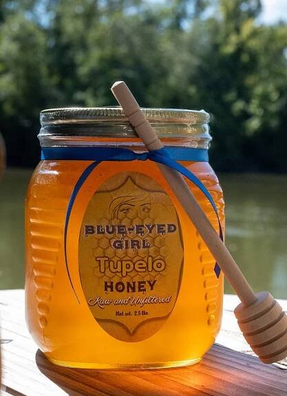 2.5 lb. Tupelo Honey - Glass