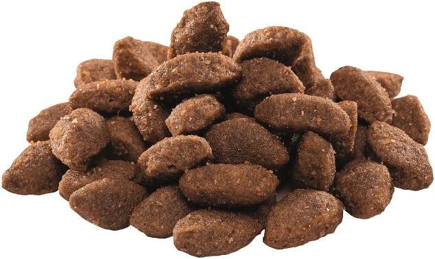 Brit Premium by Nature Granule pro psy SPORT s kuřecím 15 kg
