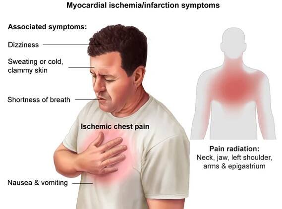 Cardiovascular System – NurseAdemy