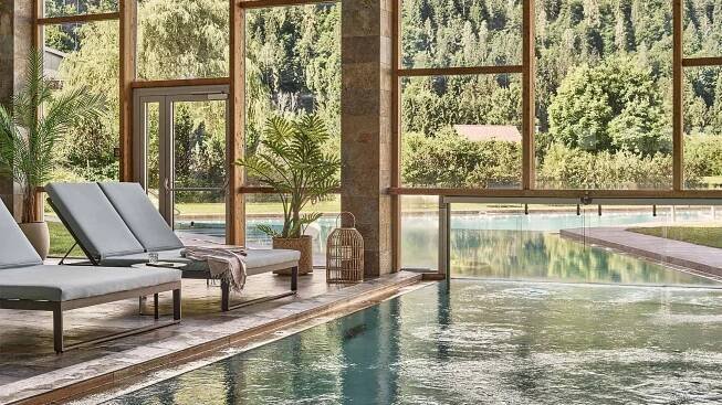 Modernes Schwimmbad mit Liegen, Pflanzen und Sicht auf Wald und Wiese.