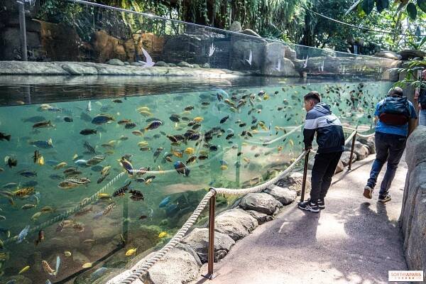 Zoo Beauval, tipy a triky pro návštěvu parku - Sortiraparis.com