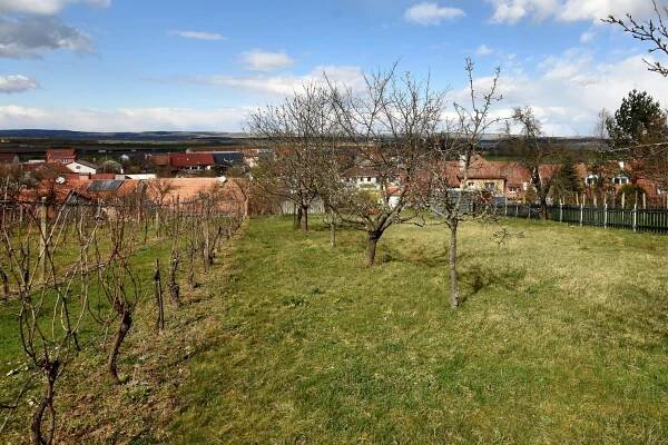 Prodej Pozemek, Milovice, okres Břeclav