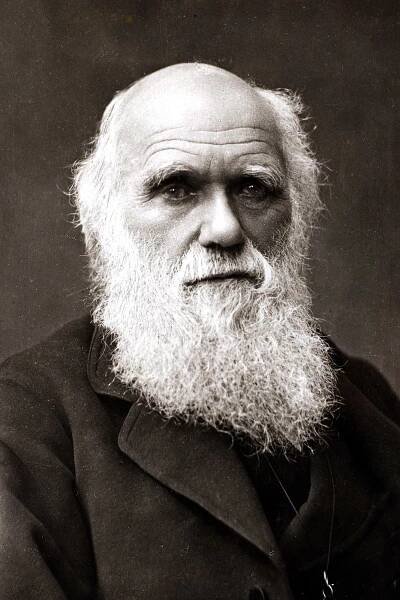 Charles Darwin wrote: “genitals do not concern us,” but wildlife biology has greatly evolved since the 1800s.
