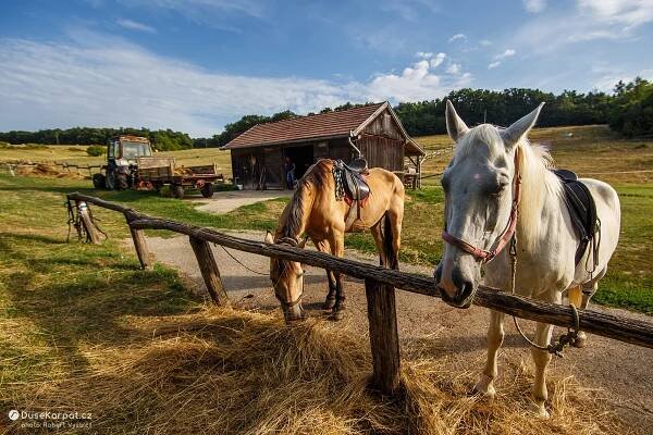 Balatonská vrchovina | DušeKarpat.cz