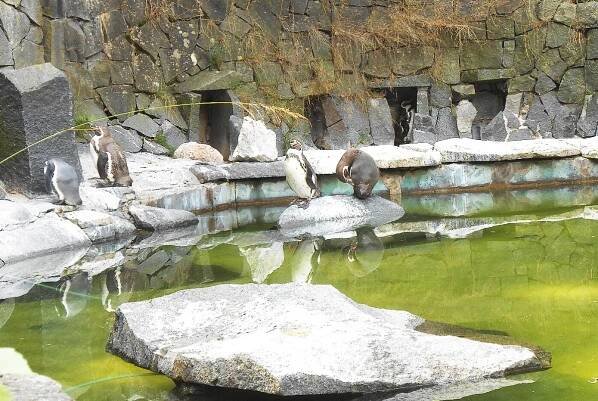 Liberec 1: Zoologická zahrada