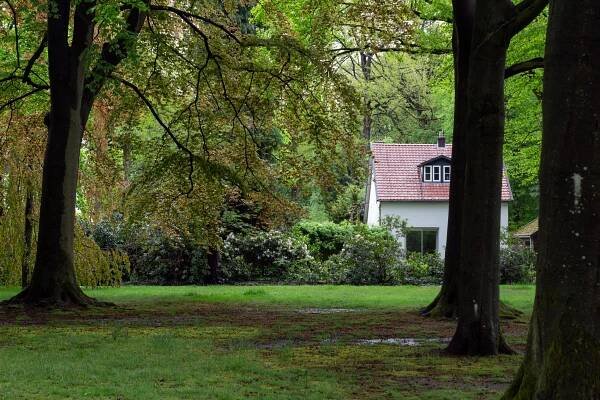 De Veluwe – Jurriaan Schalken / Art & Video Director