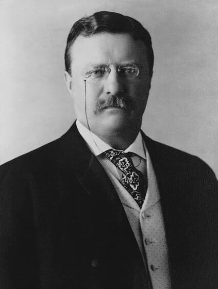 Theodore Roosevelt citáty (484 citátů)
