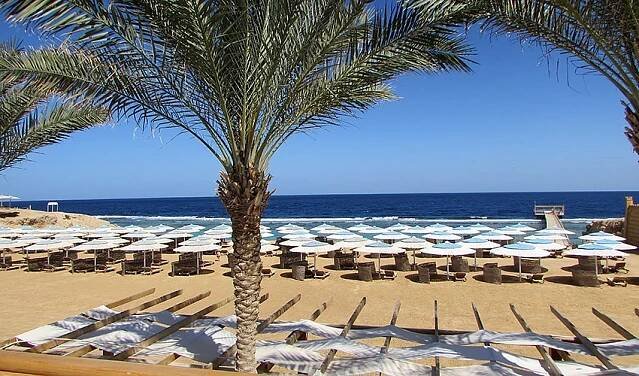 Hotel Jaz Neo Reef Marsa (ex. Solymar Reef Marsa): fotografie vybavení exteriérů a interiérů ubytování.