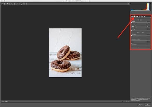 Detail Settings in Camera Raw Image