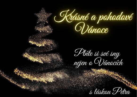 Kouzelné Vánoce a šťastný nový rok