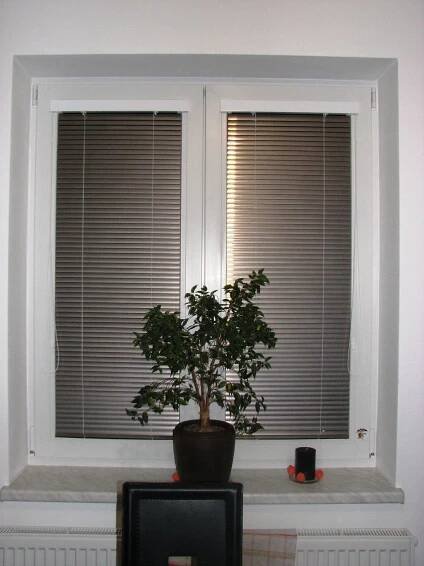 IMG 3534