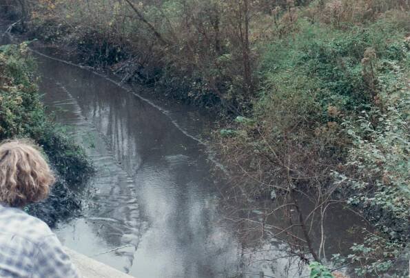 Martin County coal slurry spill