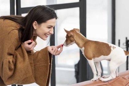 Jsou běžně kupované piškoty pro psa vhodné? Přinášíme recept na psí piškoty