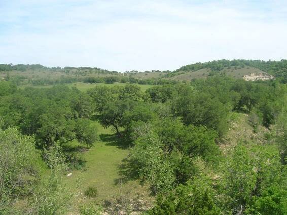 Hill Country Live Water Ranch | Kendall County, Texas | Thornton Ranch Sales