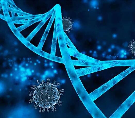 A Novel, High Sensitivity, Quantitative Hepatitis C Virus Assay