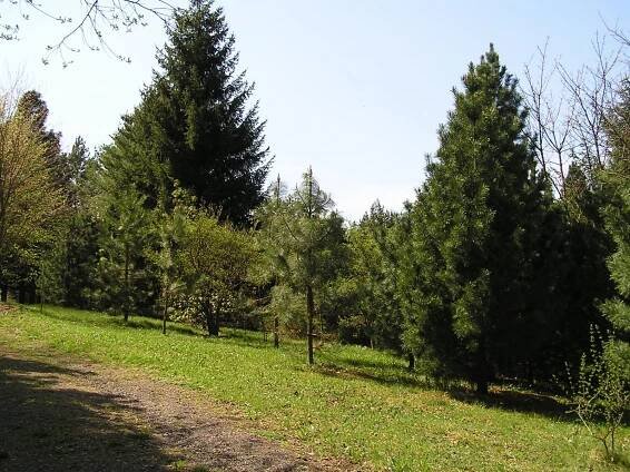 Regionální informační centrum - Šluknov