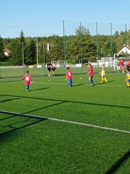 TJ Sokol Mladotice | Fotogalerie - Mladší přípravka