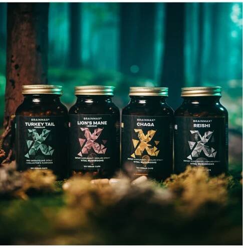 BrainMax Chaga extrakt, 50 % polysacharidů a 20 % beta-1,3/1,6 D-glukanů, 500 mg, 100 rostlinných kapslí | Interkontakt