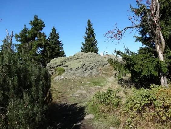 vrchol Suchý vrch (995 m. n. m.)