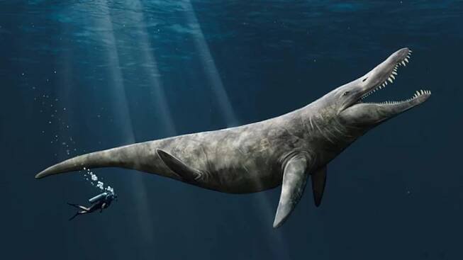 Vědci našli fosílii mořského predátora z dob dinosaurů