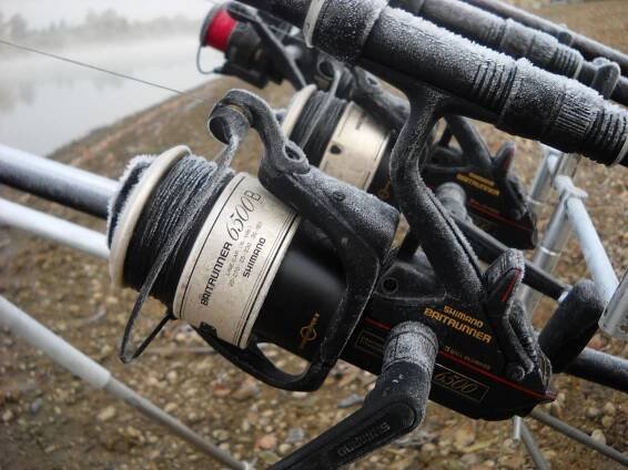 Klassiker: Shimano US Baitrunner 6500 B – Carp-o-Mania