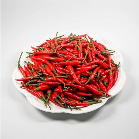 Products – MTFruit | Fruit & Vegetables Global Supplier