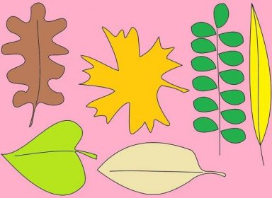 Obrázek, online omalovánka pro malé děti k vybarvení Podzimní listy, Příroda