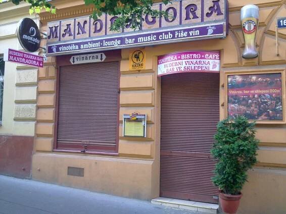 Mandragora foto 2